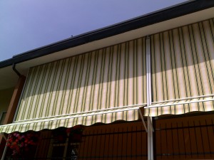 10062010135